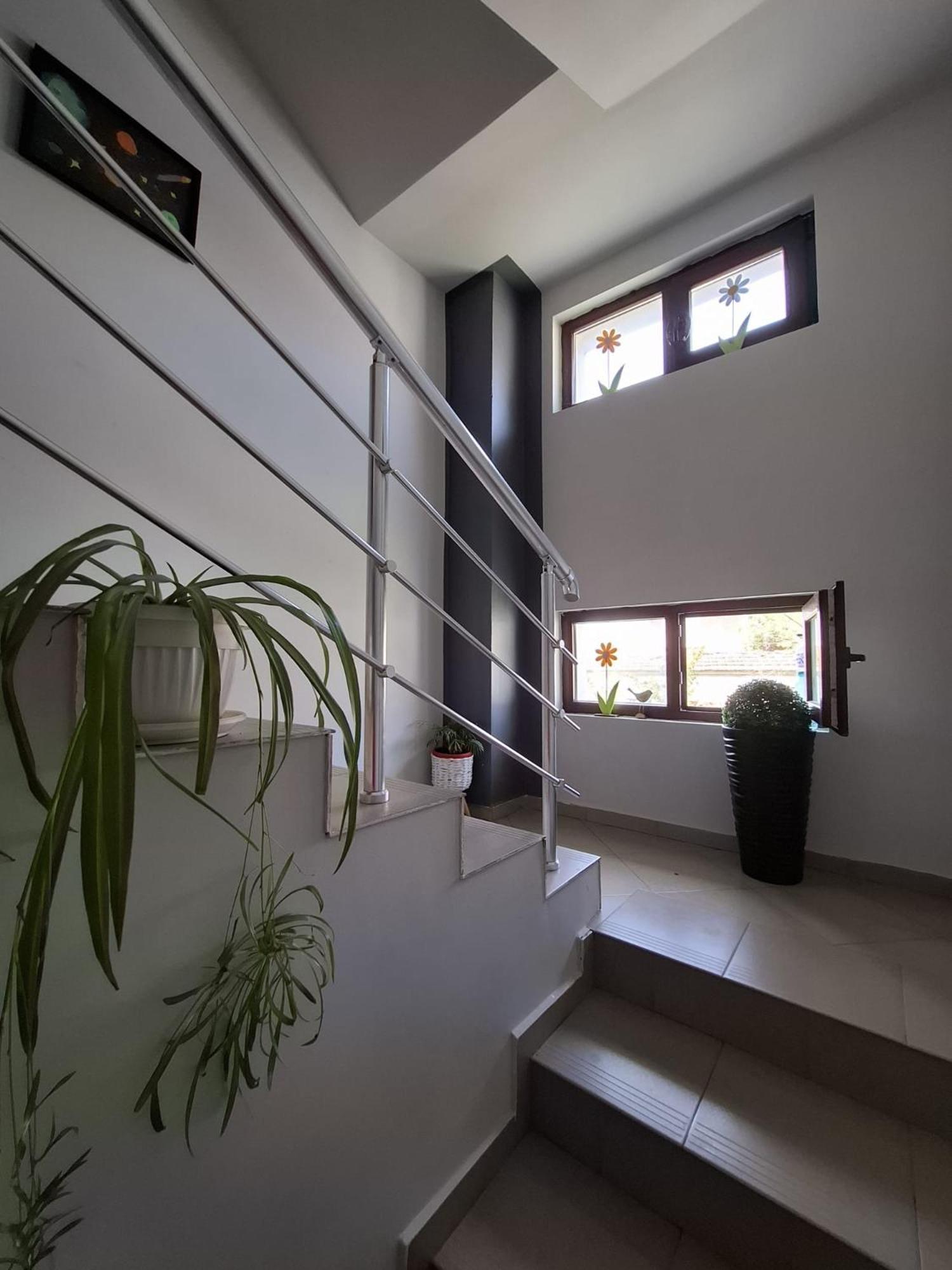 Guest Rooms Simona 2 Opanets Exterior foto